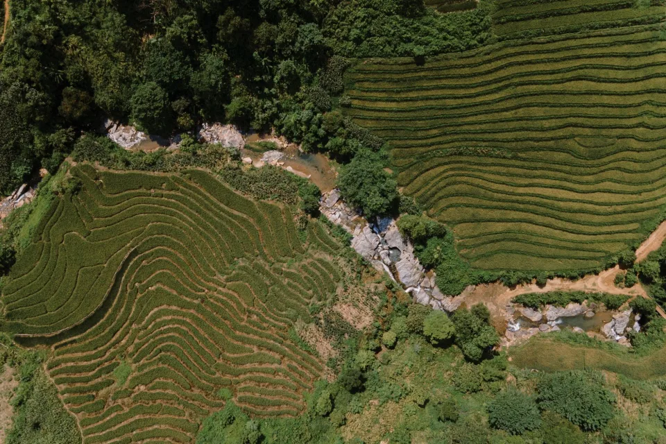 Cân và đóng bao